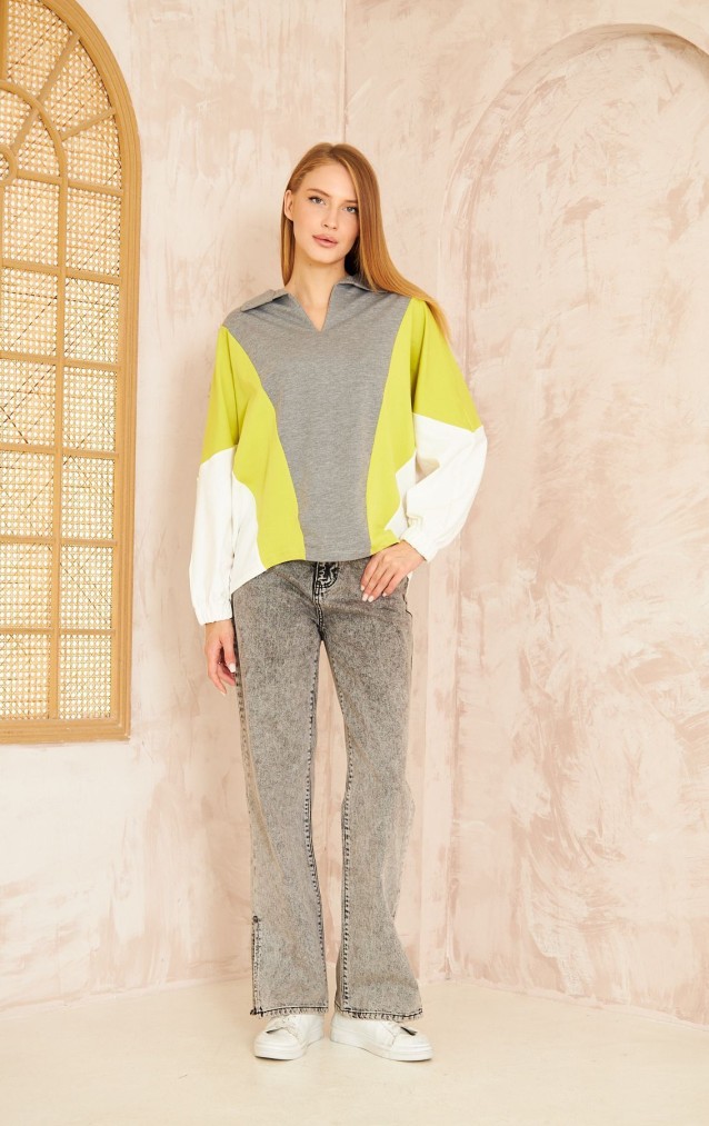 Pasaklı Giyim Kadın Polo Yaka Sweatshirt 3473270 Gri