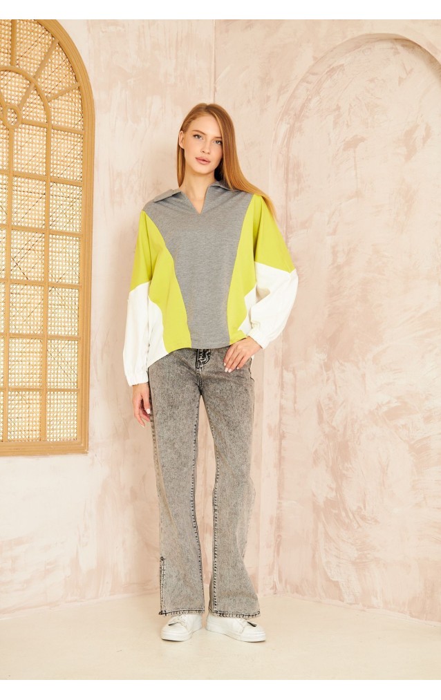 Pasaklı Giyim Kadın Polo Yaka Sweatshirt 3473270 Gri