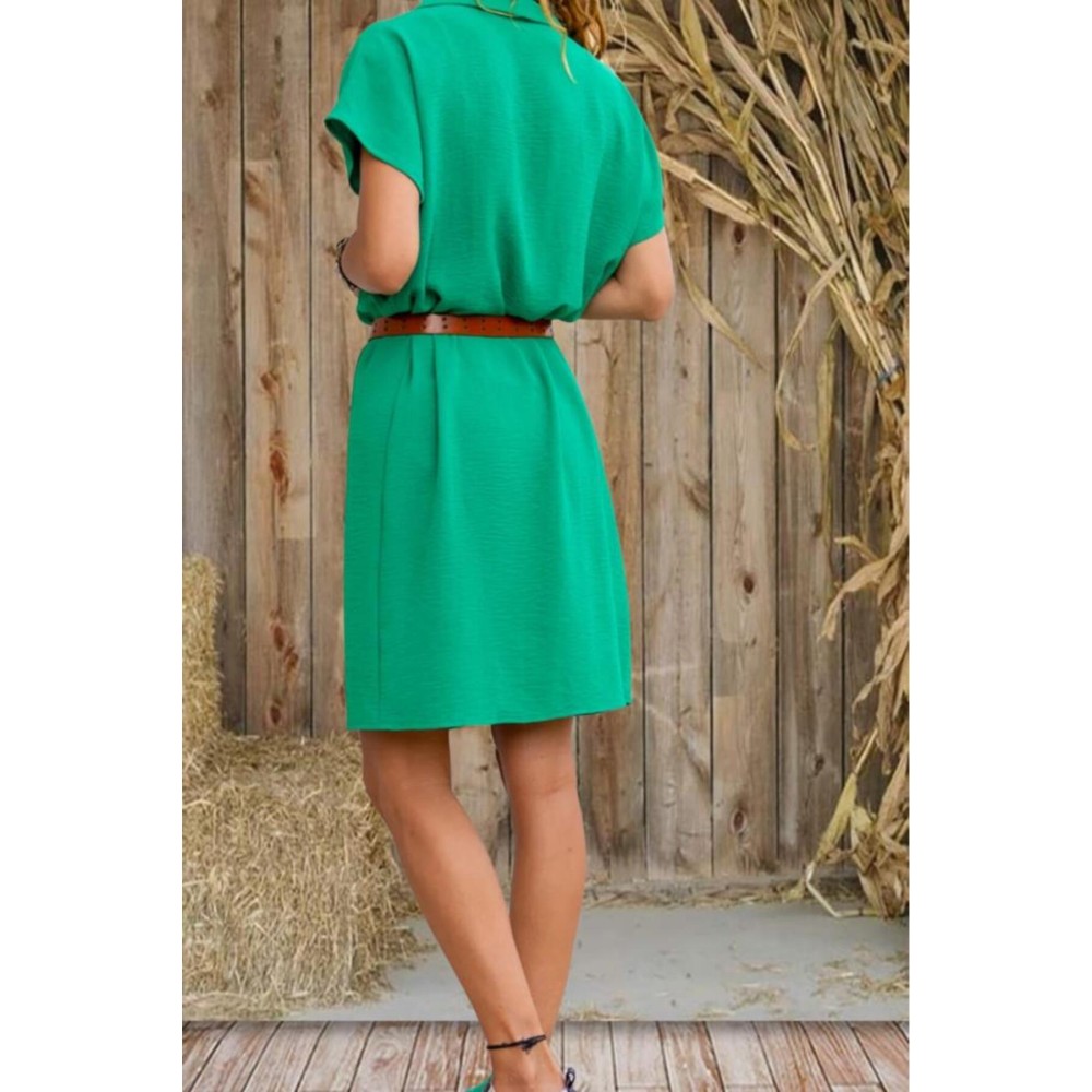 Pasaklı Giyim Pasaklı Giyim Kadın Polo Yaka Elbise Yeşil - Premium Kadın Giyim
